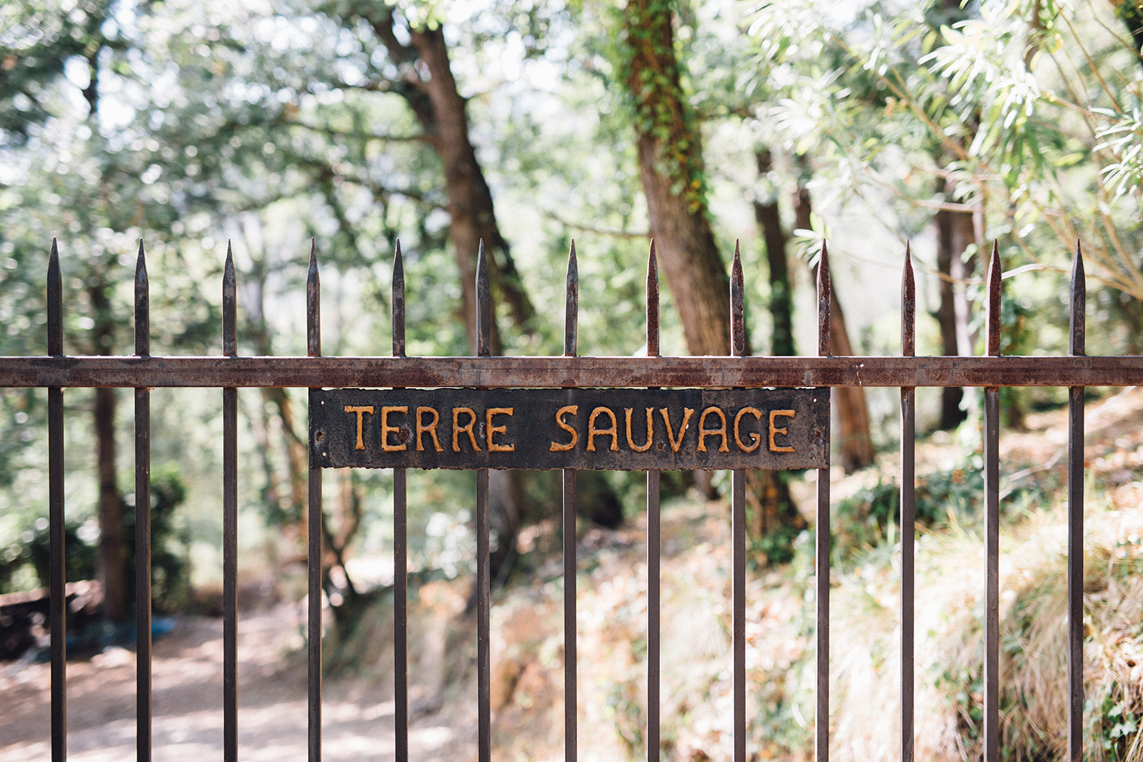 Terre Sauvage photo portail